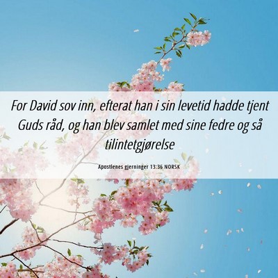 Picture 06 - Apostlenes gjerninger 13:36 NORSK - For David sov inn, efterat han i sin levetid - Bible Verse Picture