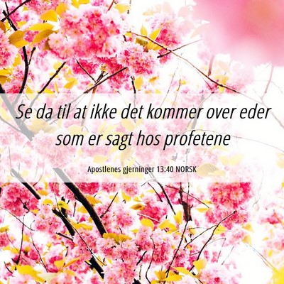 Picture 06 - Apostlenes gjerninger 13:40 NORSK - Se da til at ikke det kommer over eder som er - Bible Verse Picture