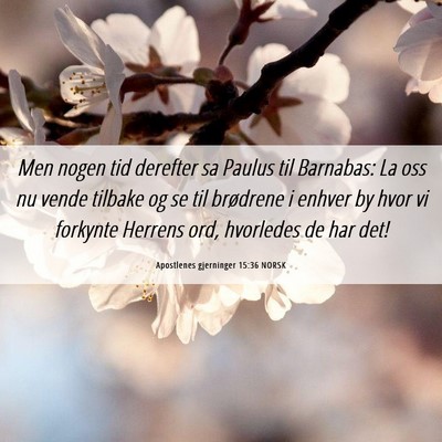 Picture 06 - Apostlenes gjerninger 15:36 NORSK - Men nogen tid derefter sa Paulus til Barnabas: La - Bible Verse Picture
