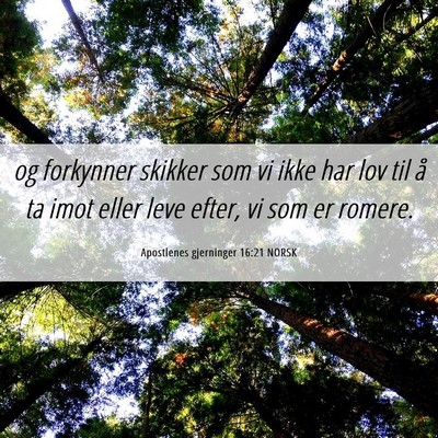 Picture 06 - Apostlenes gjerninger 16:21 NORSK - og forkynner skikker som vi ikke har lov til å - Bible Verse Picture