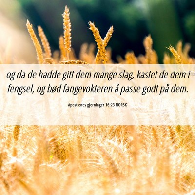Picture 06 - Apostlenes gjerninger 16:23 NORSK - og da de hadde gitt dem mange slag, kastet de dem - Bible Verse Picture