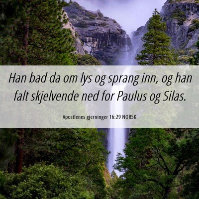 Picture 06 - Apostlenes gjerninger 16:29 NORSK - Han bad da om lys og sprang inn, og han falt - Bible Verse Picture