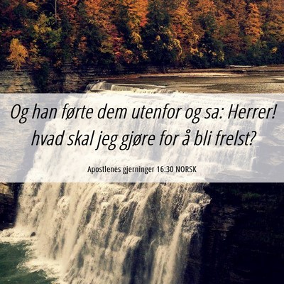 Picture 06 - Apostlenes gjerninger 16:30 NORSK - Og han førte dem utenfor og sa: Herrer! hvad - Bible Verse Picture