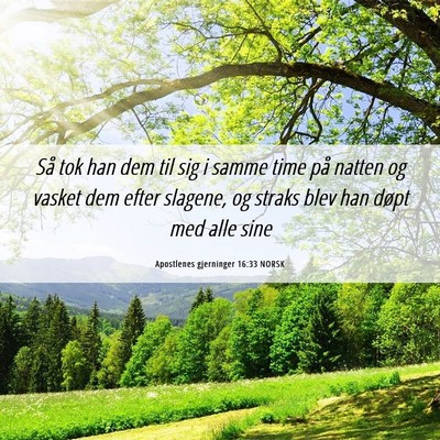 Picture 06 - Apostlenes gjerninger 16:33 NORSK - Så tok han dem til sig i samme time på natten - Bible Verse Picture