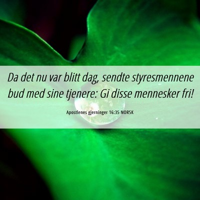 Picture 06 - Apostlenes gjerninger 16:35 NORSK - Da det nu var blitt dag, sendte styresmennene bud - Bible Verse Picture