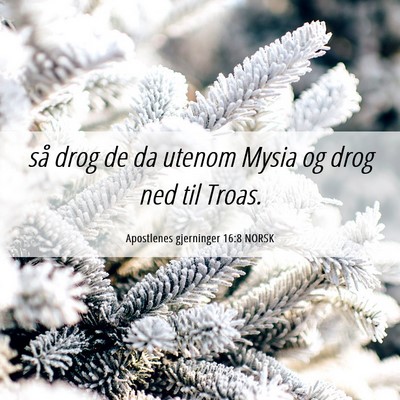 Picture 06 - Apostlenes gjerninger 16:8 NORSK - så drog de da utenom Mysia og drog ned til - Bible Verse Picture