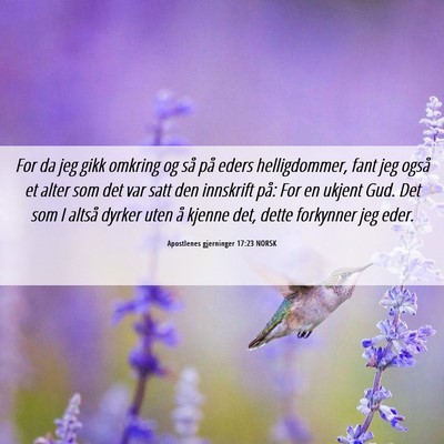 Picture 06 - Apostlenes gjerninger 17:23 NORSK - For da jeg gikk omkring og så på eders - Bible Verse Picture