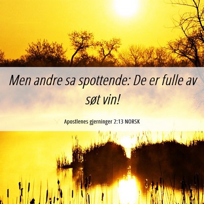 Picture 06 - Apostlenes gjerninger 2:13 NORSK - Men andre sa spottende: De er fulle av søt - Bible Verse Picture