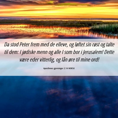 Picture 06 - Apostlenes gjerninger 2:14 NORSK - Da stod Peter frem med de elleve, og løftet sin - Bible Verse Picture