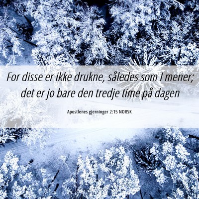 Picture 06 - Apostlenes gjerninger 2:15 NORSK - For disse er ikke drukne, således som I mener; - Bible Verse Picture