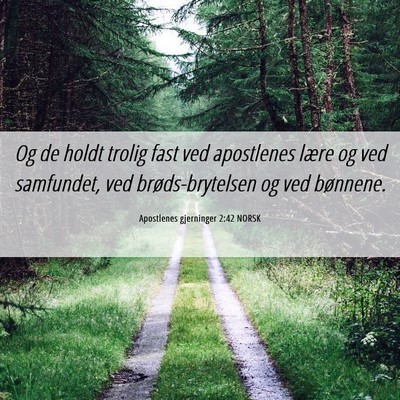 Picture 06 - Apostlenes gjerninger 2:42 NORSK - Og de holdt trolig fast ved apostlenes lære og - Bible Verse Picture