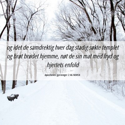 Picture 06 - Apostlenes gjerninger 2:46 NORSK - og idet de samdrektig hver dag stadig søkte - Bible Verse Picture