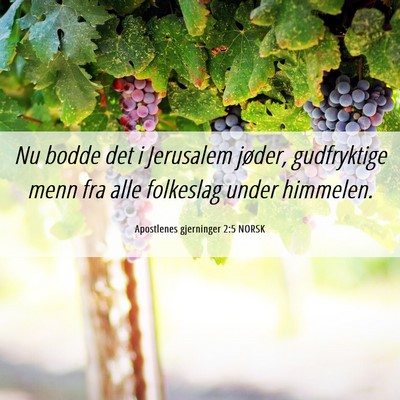 Picture 06 - Apostlenes gjerninger 2:5 NORSK - Nu bodde det i Jerusalem jøder, gudfryktige menn - Bible Verse Picture