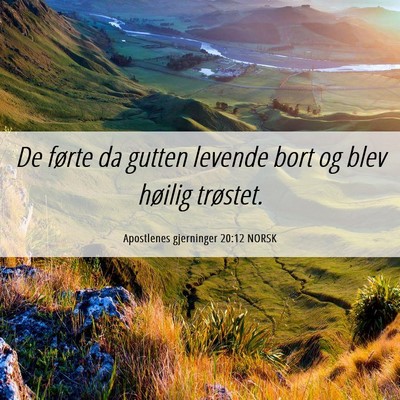 Picture 06 - Apostlenes gjerninger 20:12 NORSK - De førte da gutten levende bort og blev høilig - Bible Verse Picture