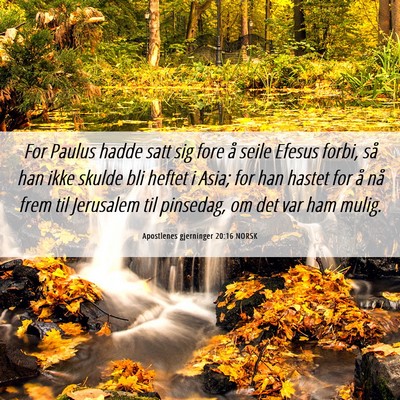 Picture 06 - Apostlenes gjerninger 20:16 NORSK - For Paulus hadde satt sig fore å seile Efesus - Bible Verse Picture