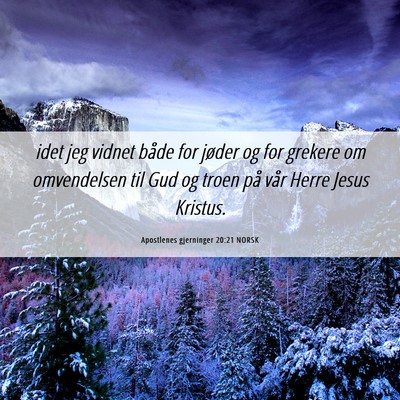 Picture 06 - Apostlenes gjerninger 20:21 NORSK - idet jeg vidnet både for jøder og for grekere - Bible Verse Picture