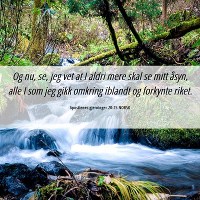 Picture 06 - Apostlenes gjerninger 20:25 NORSK - Og nu, se, jeg vet at I aldri mere skal se mitt - Bible Verse Picture