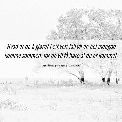 Picture 06 - Apostlenes gjerninger 21:22 NORSK - Hvad er da å gjøre? I ethvert fall vil en hel - Bible Verse Picture