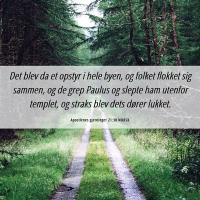 Picture 06 - Apostlenes gjerninger 21:30 NORSK - Det blev da et opstyr i hele byen, og folket - Bible Verse Picture
