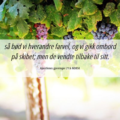 Picture 06 - Apostlenes gjerninger 21:6 NORSK - så bød vi hverandre farvel, og vi gikk ombord - Bible Verse Picture