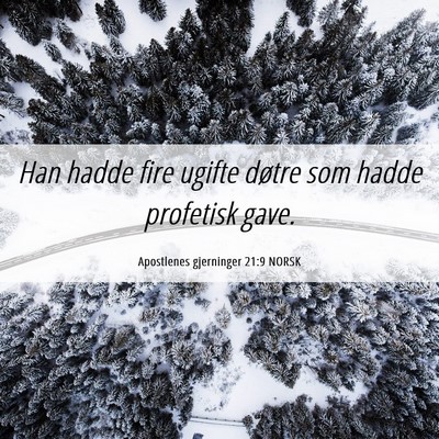 Picture 06 - Apostlenes gjerninger 21:9 NORSK - Han hadde fire ugifte døtre som hadde profetisk - Bible Verse Picture