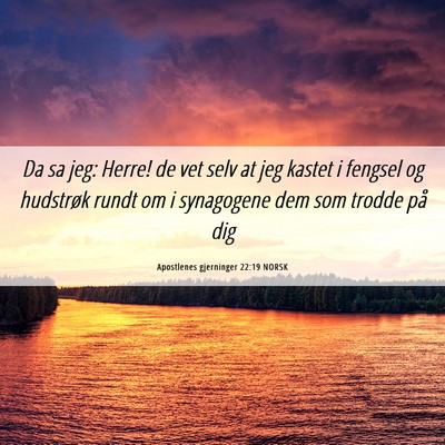 Picture 06 - Apostlenes gjerninger 22:19 NORSK - Da sa jeg: Herre! de vet selv at jeg kastet i - Bible Verse Picture