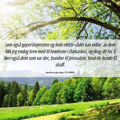 Picture 06 - Apostlenes gjerninger 22:5 NORSK - som også ypperstepresten og hele eldste-rådet - Bible Verse Picture