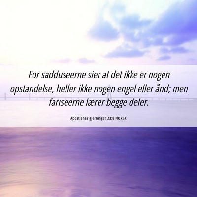 Picture 06 - Apostlenes gjerninger 23:8 NORSK - For sadduseerne sier at det ikke er nogen - Bible Verse Picture