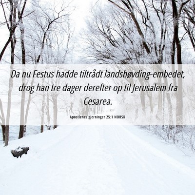 Picture 06 - Apostlenes gjerninger 25:1 NORSK - Da nu Festus hadde tiltrådt - Bible Verse Picture