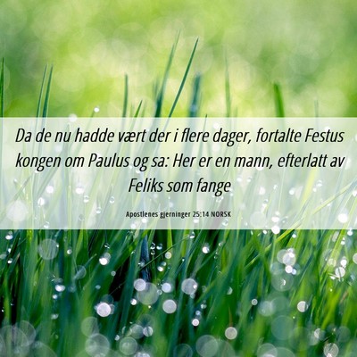 Picture 06 - Apostlenes gjerninger 25:14 NORSK - Da de nu hadde vært der i flere dager, fortalte - Bible Verse Picture