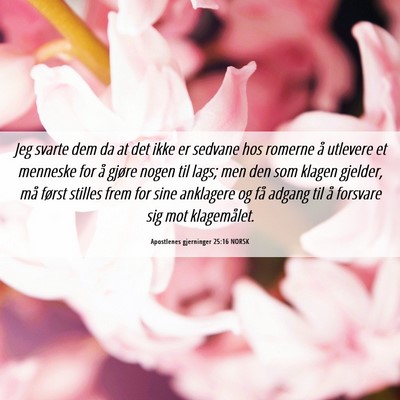 Picture 06 - Apostlenes gjerninger 25:16 NORSK - Jeg svarte dem da at det ikke er sedvane hos - Bible Verse Picture