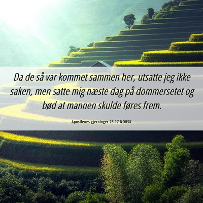 Picture 06 - Apostlenes gjerninger 25:17 NORSK - Da de så var kommet sammen her, utsatte jeg ikke - Bible Verse Picture
