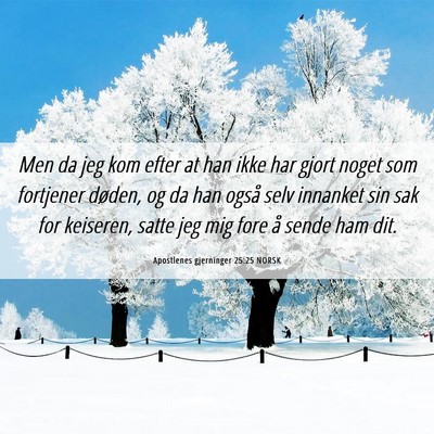 Picture 06 - Apostlenes gjerninger 25:25 NORSK - Men da jeg kom efter at han ikke har gjort noget - Bible Verse Picture