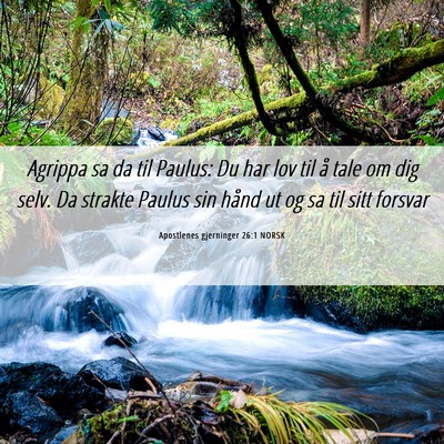 Picture 06 - Apostlenes gjerninger 26:1 NORSK - Agrippa sa da til Paulus: Du har lov til å tale - Bible Verse Picture