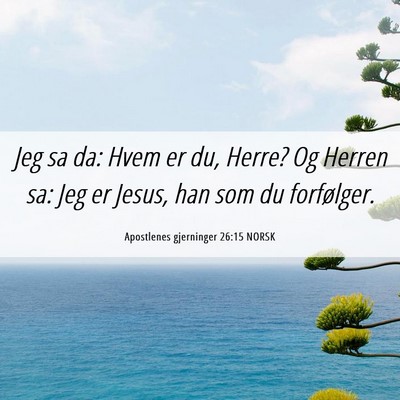 Picture 06 - Apostlenes gjerninger 26:15 NORSK - Jeg sa da: Hvem er du, Herre? Og Herren sa: Jeg - Bible Verse Picture