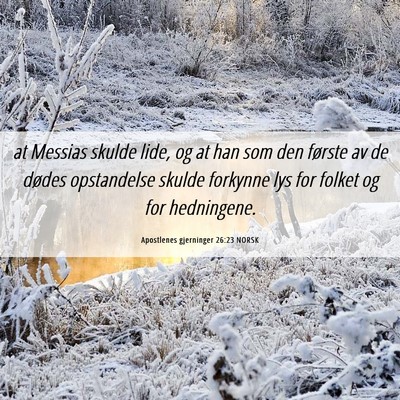 Picture 06 - Apostlenes gjerninger 26:23 NORSK - at Messias skulde lide, og at han som den første - Bible Verse Picture