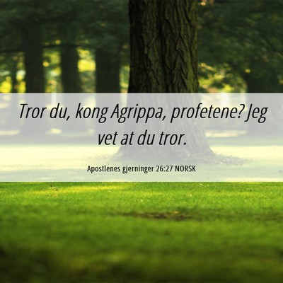 Picture 06 - Apostlenes gjerninger 26:27 NORSK - Tror du, kong Agrippa, profetene? Jeg vet at du - Bible Verse Picture