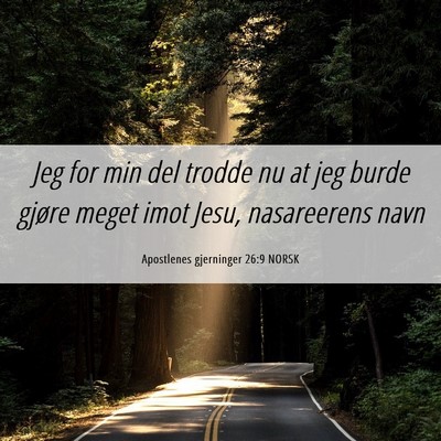 Picture 06 - Apostlenes gjerninger 26:9 NORSK - Jeg for min del trodde nu at jeg burde gjøre - Bible Verse Picture