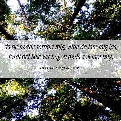 Picture 06 - Apostlenes gjerninger 28:18 NORSK - da de hadde forhørt mig, vilde de late mig løs, - Bible Verse Picture