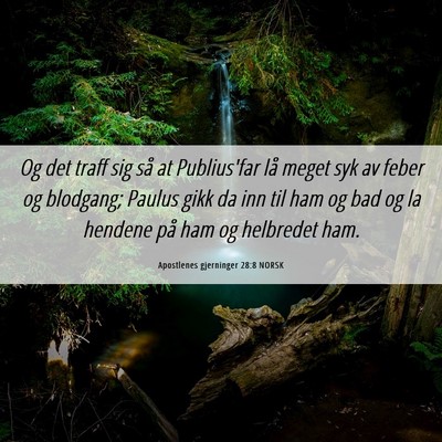 Picture 06 - Apostlenes gjerninger 28:8 NORSK - Og det traff sig så at Publius'far lå meget syk - Bible Verse Picture