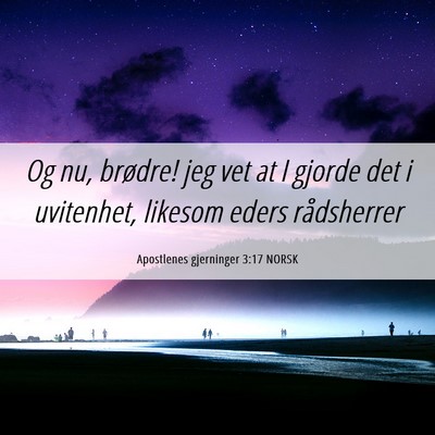 Picture 06 - Apostlenes gjerninger 3:17 NORSK - Og nu, brødre! jeg vet at I gjorde det i - Bible Verse Picture