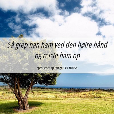 Picture 06 - Apostlenes gjerninger 3:7 NORSK - Så grep han ham ved den høire hånd og reiste - Bible Verse Picture