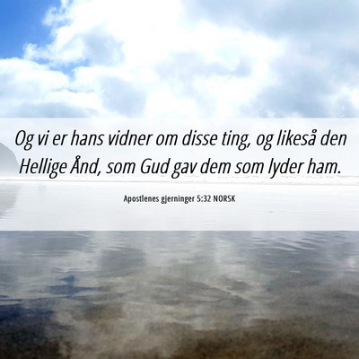 Picture 06 - Apostlenes gjerninger 5:32 NORSK - Og vi er hans vidner om disse ting, og likeså - Bible Verse Picture