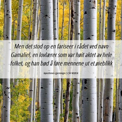 Picture 06 - Apostlenes gjerninger 5:34 NORSK - Men det stod op en fariseer i rådet ved navn - Bible Verse Picture