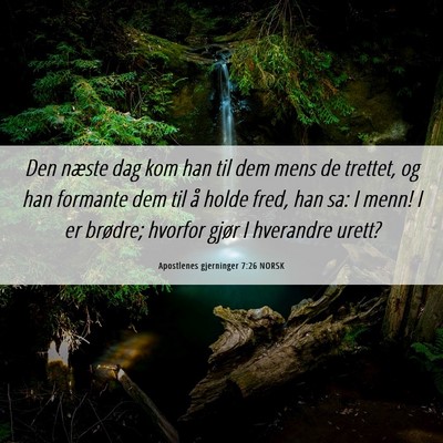 Picture 06 - Apostlenes gjerninger 7:26 NORSK - Den næste dag kom han til dem mens de trettet, - Bible Verse Picture