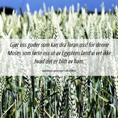 Picture 06 - Apostlenes gjerninger 7:40 NORSK - Gjør oss guder som kan dra foran oss! for denne - Bible Verse Picture