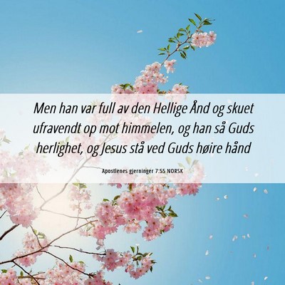 Picture 06 - Apostlenes gjerninger 7:55 NORSK - Men han var full av den Hellige Ånd og skuet - Bible Verse Picture