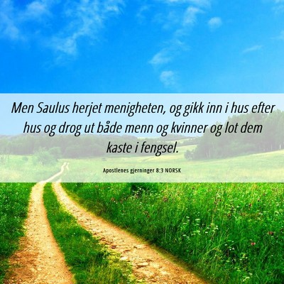 Picture 06 - Apostlenes gjerninger 8:3 NORSK - Men Saulus herjet menigheten, og gikk inn i hus - Bible Verse Picture