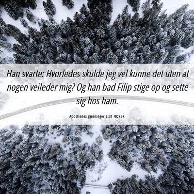 Picture 06 - Apostlenes gjerninger 8:31 NORSK - Han svarte: Hvorledes skulde jeg vel kunne det - Bible Verse Picture