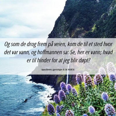 Picture 06 - Apostlenes gjerninger 8:36 NORSK - Og som de drog frem på veien, kom de til et sted - Bible Verse Picture